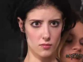 Insex 2001 12 19 1016 S December 2000 Live Feed What A Dog 1016 101