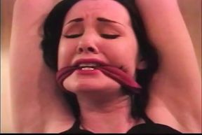 DRIVEN TO EXTREMES - (Restyling Movie in Full HD Version)