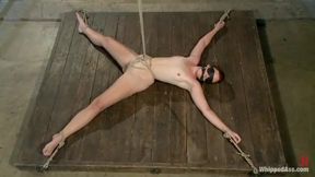 Built For Punishment