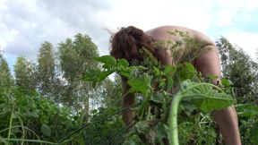 Nudist Garden: Working Naked in the Field