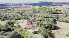 Horny Sluts Fuck Better on Vacation_4k