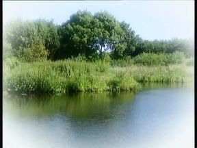 Titten Parade (Full Movie)