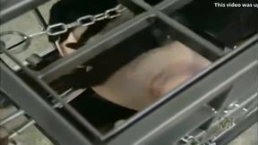 Caged Up For The Transfer