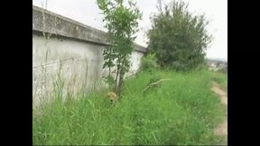 Public Viewing (Full Movie)