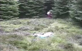 Dominating woman punishing their friends