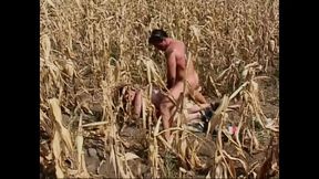 Wild vintage pussies (Full Movie)