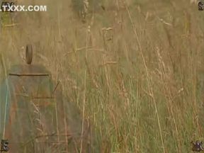 Insex - Live At The Farm