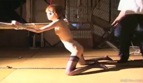 maste shima slave document bdsm 11 240p